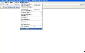 ie缓存的在线视频,在线视频观看背后的秘密