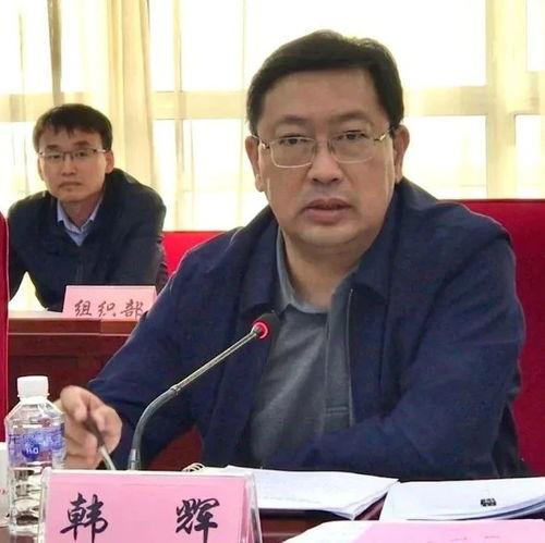 韩辉在线视频播放,揭秘成功人士的智慧与成长之路